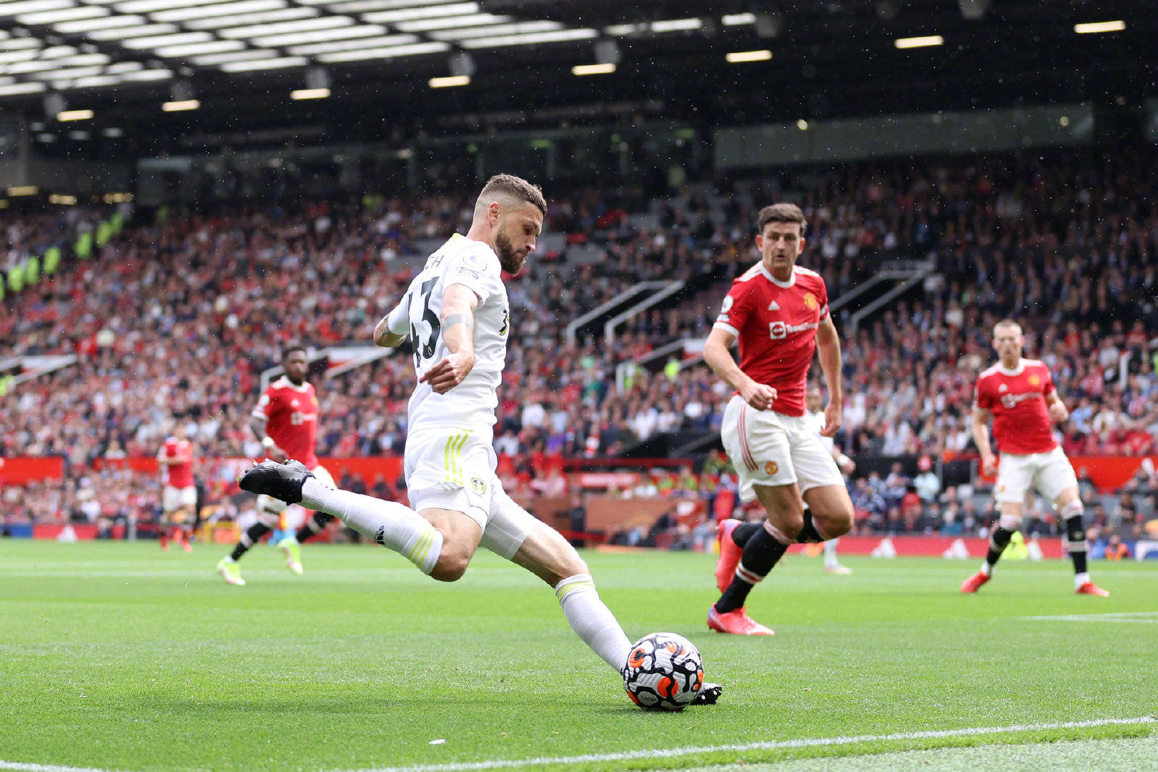 在更是如虎 在更是如虎